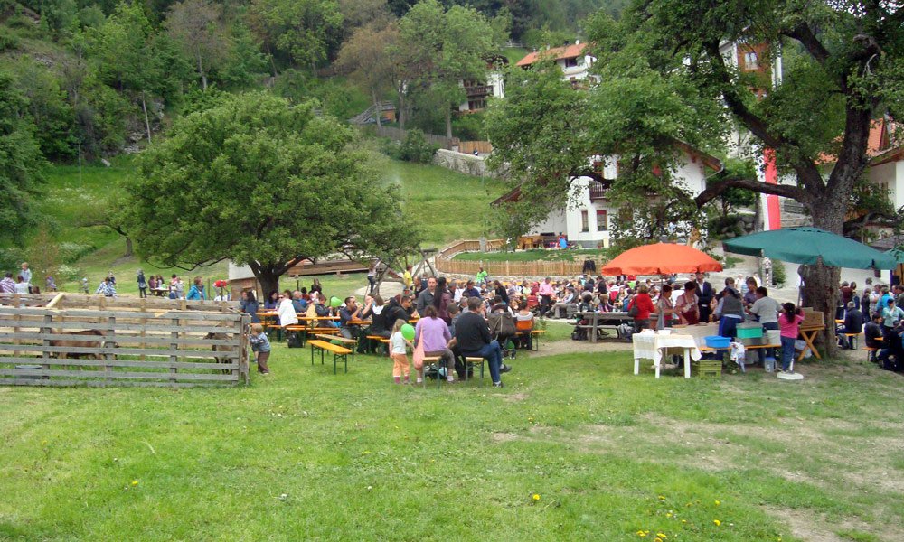 Südtirols 1. Bauernhofsonntag 2012 am Hof am Schloss